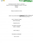 Una Evaluacion de impacto ambiental.