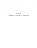 Compañía de Cervecerías Unidas CCU, análisis y FODA