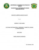 Actividad integradora : Obesidad y diabetes, causas y consecuencias