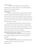 Ensayo mineria en zamora chimchipe