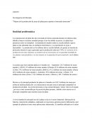 Investigacion de mercado. Mejora de la producción de joyas de plata para exportar al mercado americano