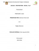 Reflexión sobre la importancia de la psique y la existencia humana