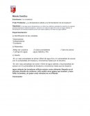 Metodo cientifico de la levadura.