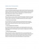 Analisis 5 fuerzas de porter Security Sat.