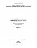 MAGNETISMOS, CAMPOS MAGNETICOS Y MATERIALES MAGNETICOS
