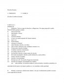 Definición: Todo ser capaz de derechos y obligaciones. De origen griego del vocablo PER SONARE (producir sonido).