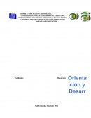 LA METILACIÓN DEL ADN Y SU RELACIÓN CON EL CÁNCER.