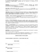 El pequeño Contrato de prestacion de servicios.