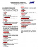 Las organizaciones como sistemas.