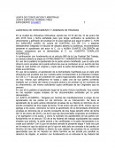 AUDIENCIA DE OFRECIMIENTO Y ADMISION DE PRUEBAS