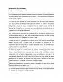Asignacion de unidades