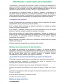 Manutencion y conservacion de la mercaderia