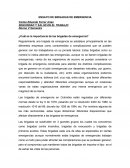 Ensayo De Brigadas De Emergencia