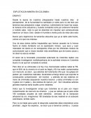 Ensayo de la mineria ilegal en colombia.