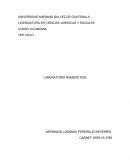 28 preguntas sobre economia