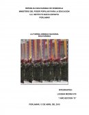 ¿Que es la Fuerza Armada Nacional Bolivariana?