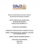 TECNOLOGIAS PARA EL CUIDADO DE LA SALUD EN LAS NECESIDADES BASICAS