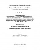 El poder en las sociedades mercantiles: Un análisis de la representación fiscal y sus consecuencias