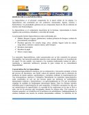 BIOMASA DE LA LIGNOCELUSOSA