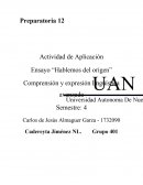 Ensayo: Hablemos del Origen