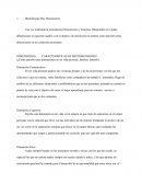 DIMENSIONES	CARACTERISTICAS DE MIS DIMENSIONES