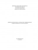 DISEÑO DE TÉCNICAS PARA LA EXTRACCIÓN Y PERFORACIÓN DEL PETRÓLEO PESADO EN EL GOLFO DE MEXICO