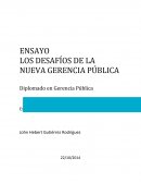 LOS DESAFÍOS DE LA NUEVA GERENCIA PÚBLICA