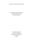 INFORMES DE LABORATORIO DE PAVIMENTOS