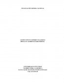 Financaicion moneda nacional