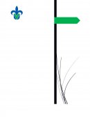 Ortorexia. Los trastornos de alimentación