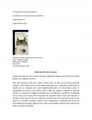 El gato que dio vida a la prosa