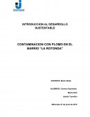 CONTAMINACION CON PLOMO EN EL BARRIO “LA ROTONDA”