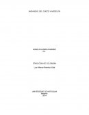 Etnologia del Choco a Medellín.