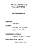MODELO DE CURRICULUM VITAE.