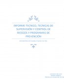 Actividad Muro de Escalada, Empresa: Sur Este.