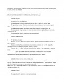 DIFERENCIAS Y CARACTERÍSTICAS DE ORGANIGRAMAS