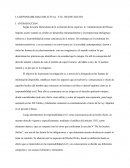 LA REPONSABILIDAD DELICTUAL Y EL HECHO ILICITO.