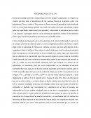 MI EXPERIENCIA EN EL SAI