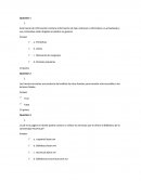Examen biblioteca digital.