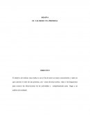 EL VALOR DE UNA PROMESA RESEÑA