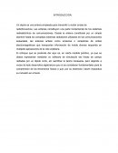 Introducción DIPOLO.