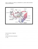 Sensores de motor Perkins.