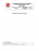 ESTIMACION POR PUNTOS DE FUNCION