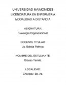 Psicologia organizacional primera entrega