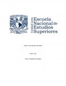 La evolución de las herramientas que ayudan a los seres humanos en sus tareas diarias y en el desarrollo de sus profesiones.