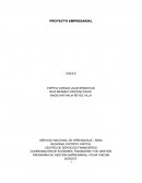 Proceso de informacion.