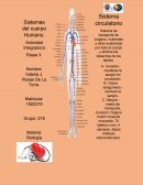 Resumen de Sistemas del cuerpo Humano.