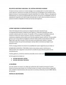 RECUENTO ANATOMO-FUNCIONAL DEL SISTEMA NERVIOSO HUMANO