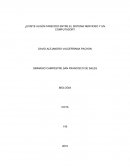 ¿Existe algún parecido entre el sistema nervioso y un computador?