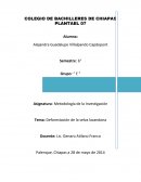 DEFORESTACION DE LA SELVA LACANDONA